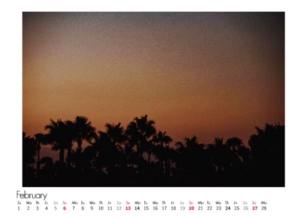 Fuerteventura Vibe calendar igorswieczak palmtree