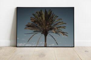 Fuerteventura Vibe Poster - Palm tree