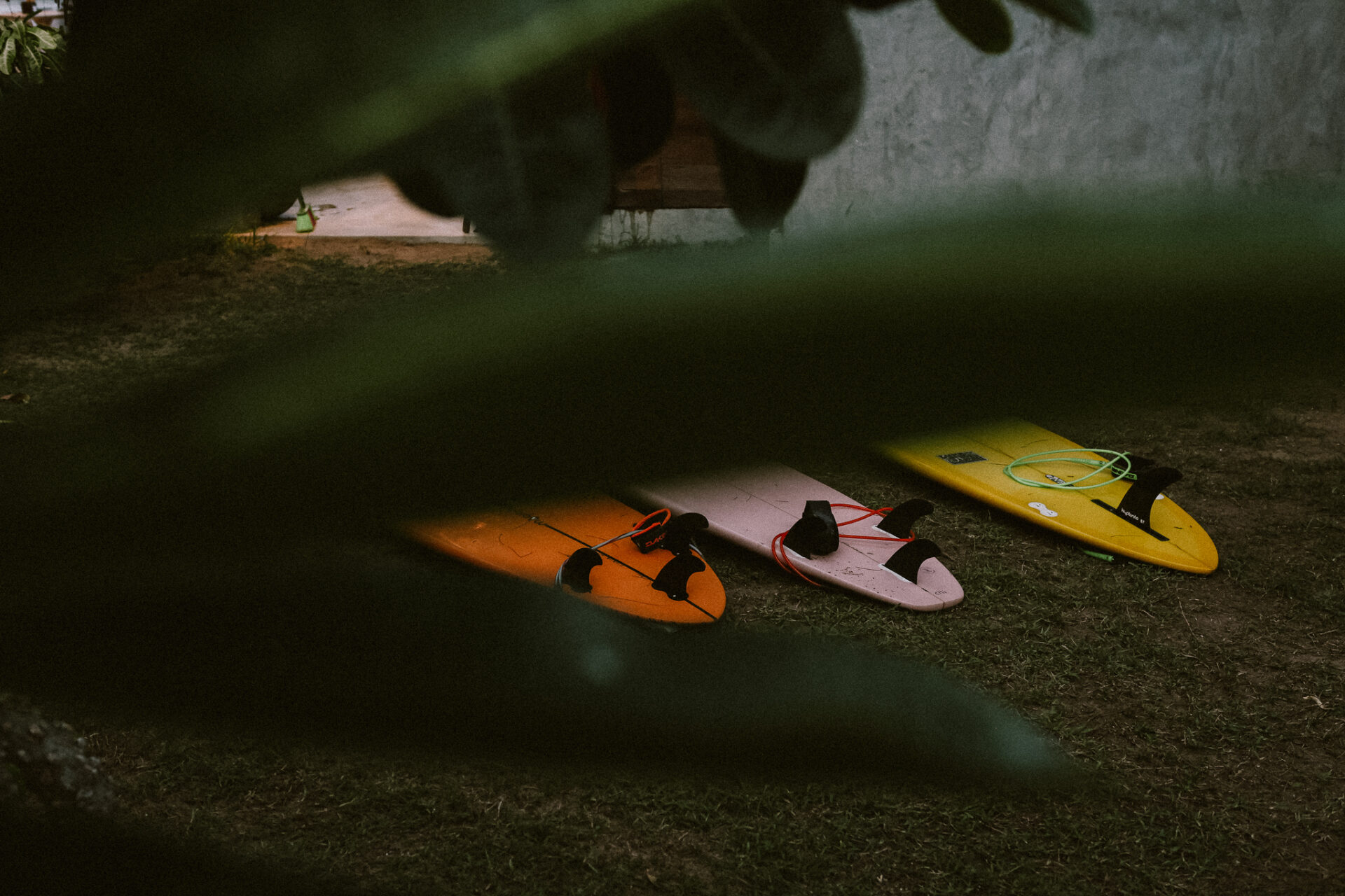 staygolden surf rental - by Hui Chen