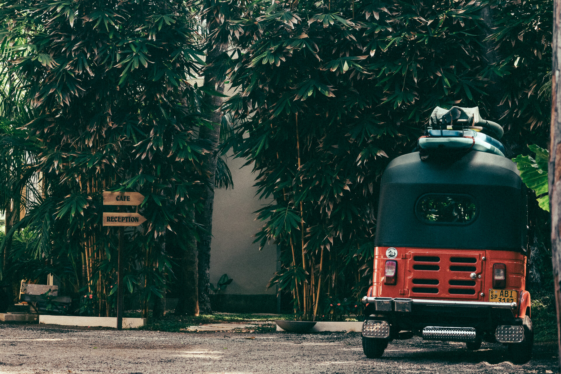 Sri Lanka Specialty Coffee - by Igor Swieczak