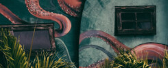 In Review Infinity Surfcamp - graffiti wall - by Igor Swieczak