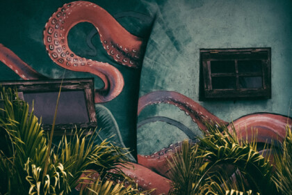 In Review Infinity Surfcamp - graffiti wall - by Igor Swieczak